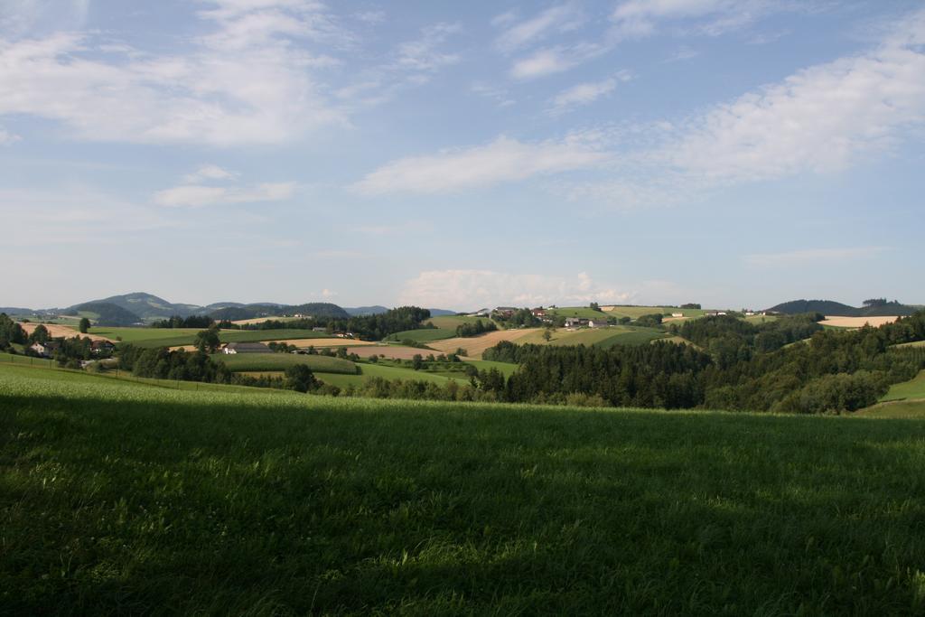 Kirchenwirt Inn Kreuzen  Exterior foto